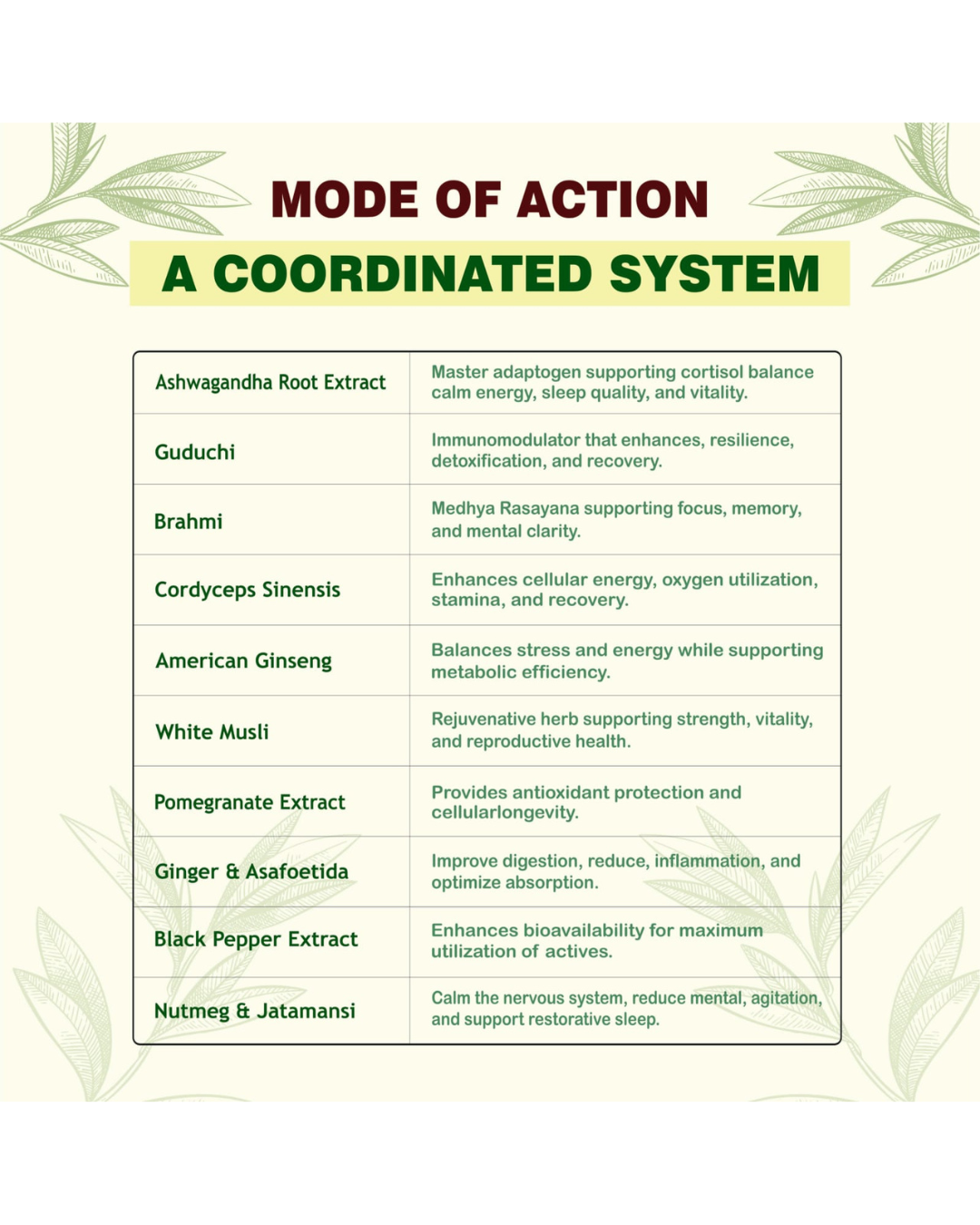 Ashwagandha Capsules with Brahmi & Guduchi – Stress Relief, Mental Clarity & Immunity